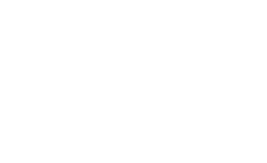 API Torino